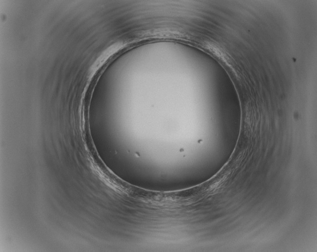 X0000067351082200604131745