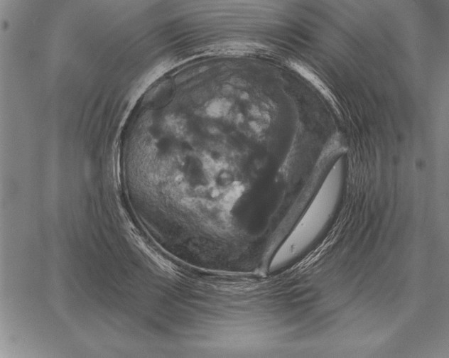 X0000067351083200604131745