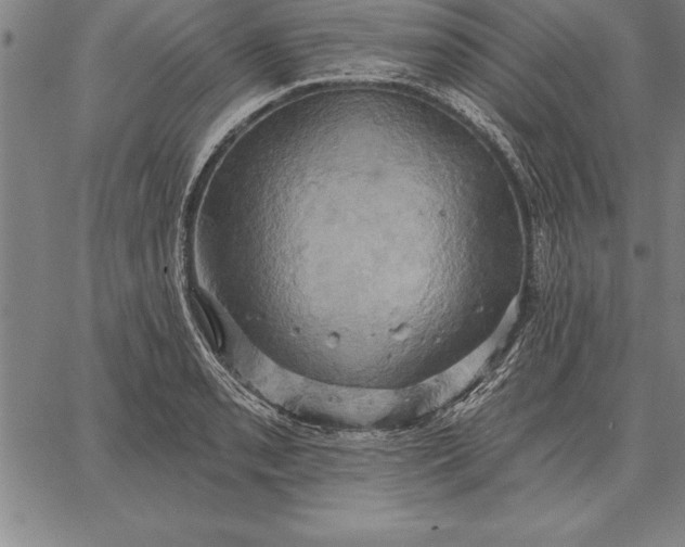 X0000067351085200604131745