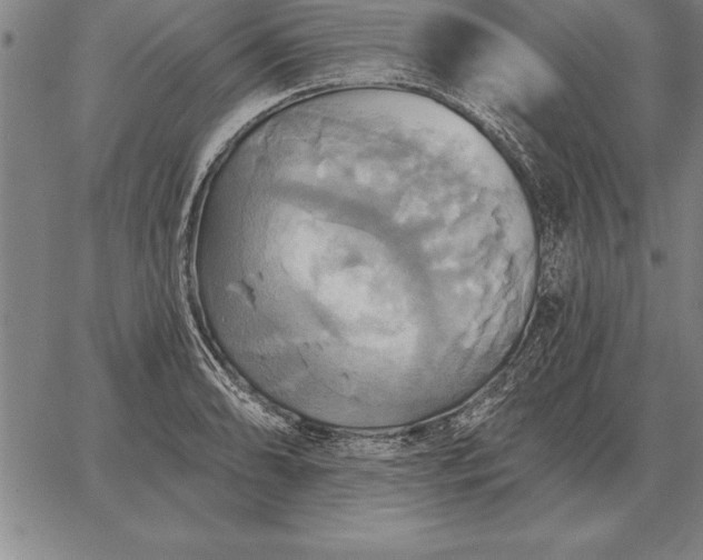 X0000067351086200604131745