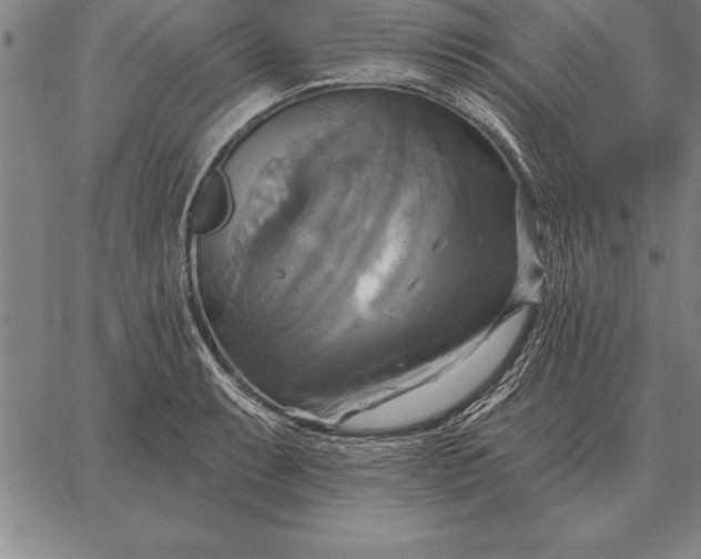 X0000067351087200604131744