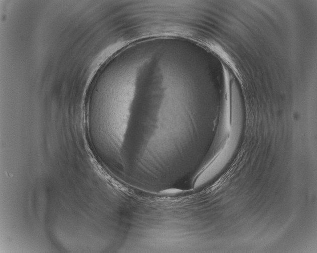 X0000067351088200604131744