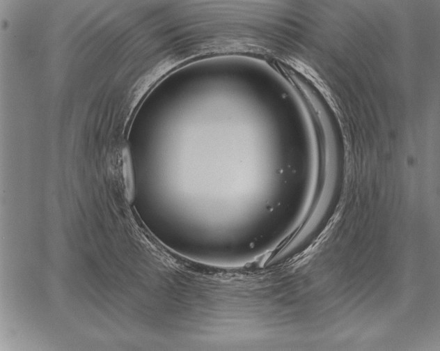 X0000067351089200604131744