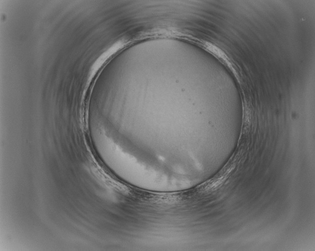 X0000067351090200604131744