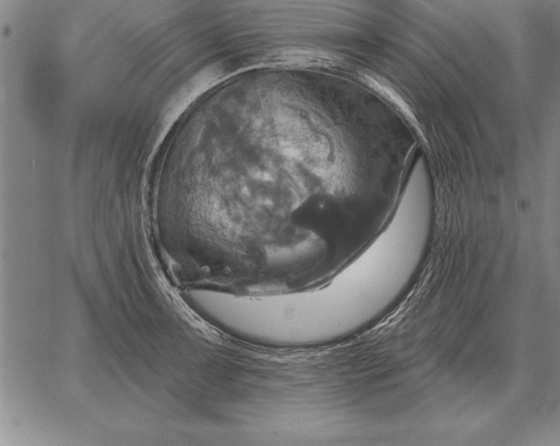 X0000067351091200604131744