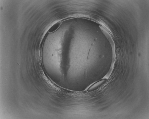 X0000067351092200604131744