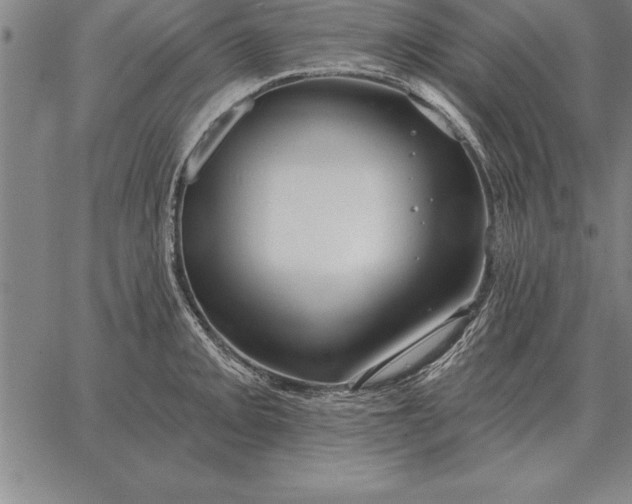 X0000067351093200604131744