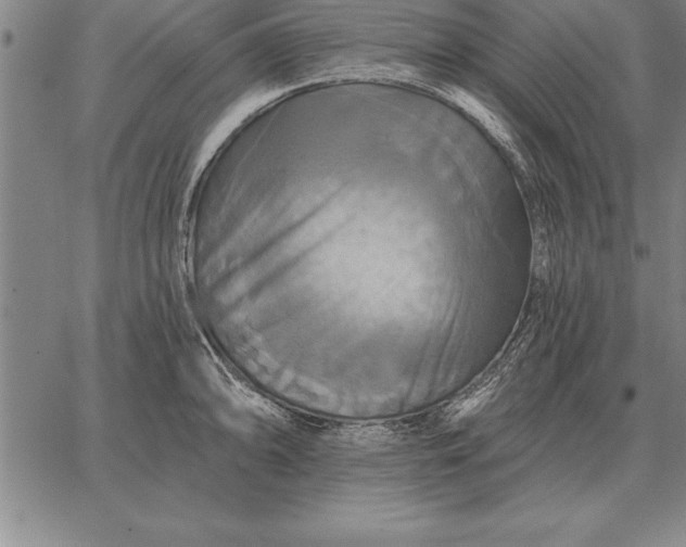 X0000067351094200604131744