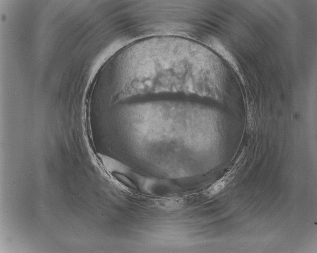 X0000067351096200604131744