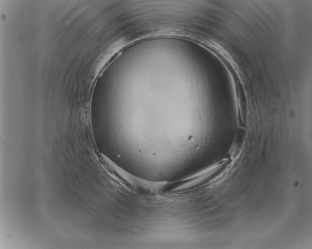 X0000067351097200604131744