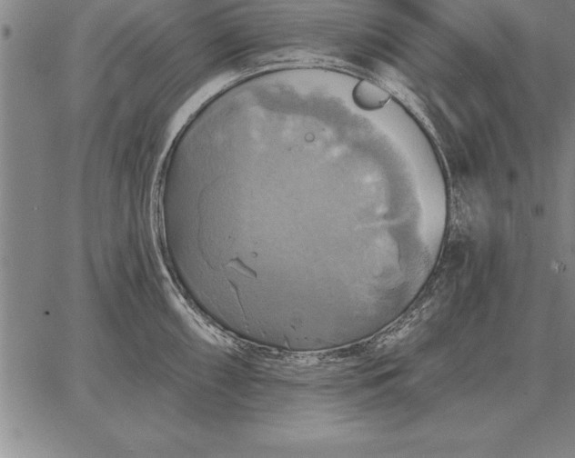 X0000067351098200604131744