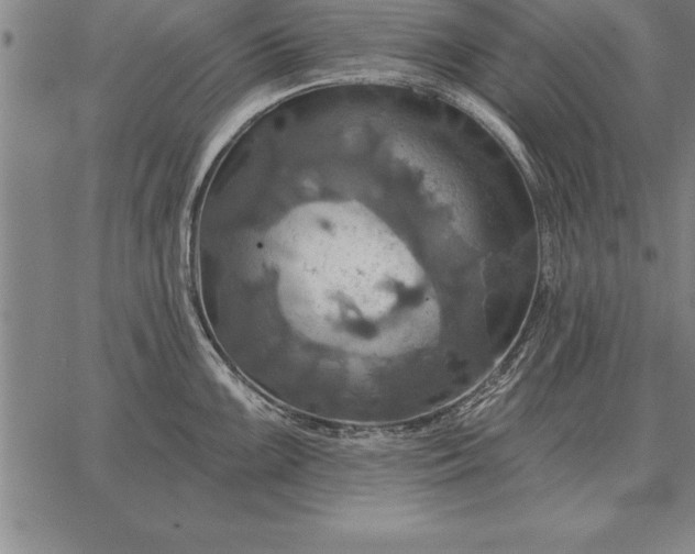 X0000067351099200604131744