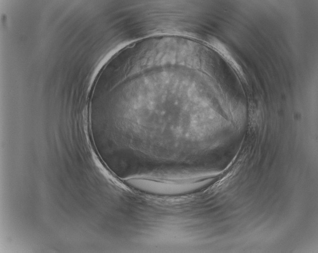 X0000067351100200604131744