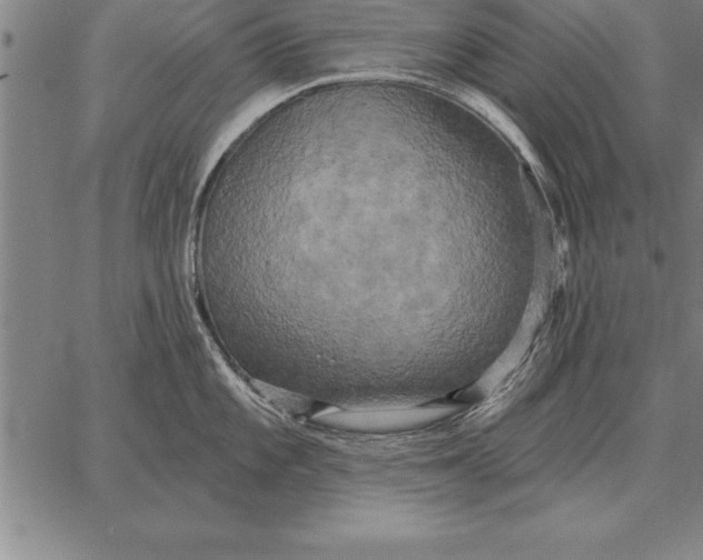 X0000067351101200604131744