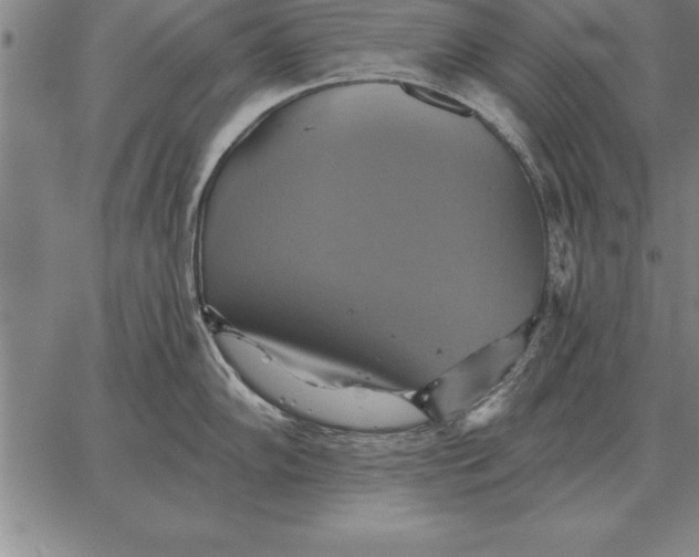 X0000067351102200604131744