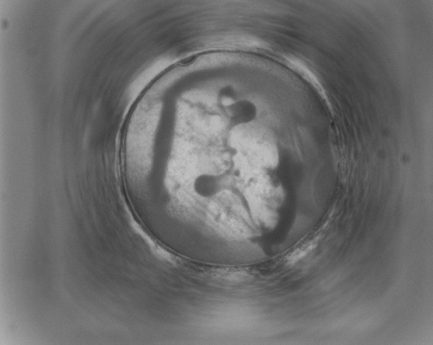 X0000067351103200604131744