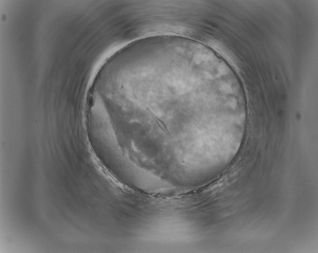 X0000067351104200604131744