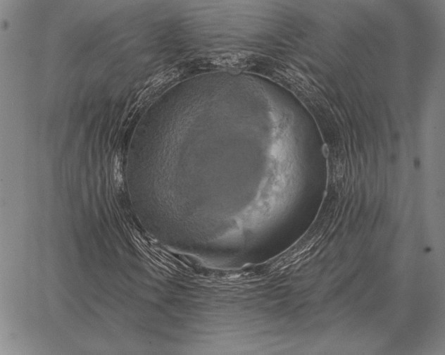 X0000067351106200604131743