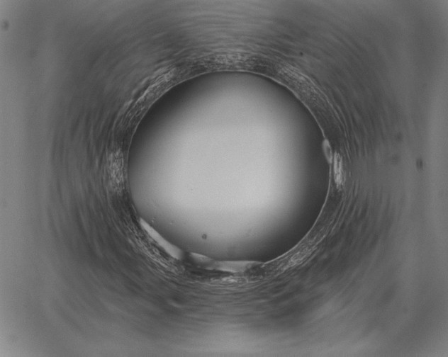 X0000067351107200604131743