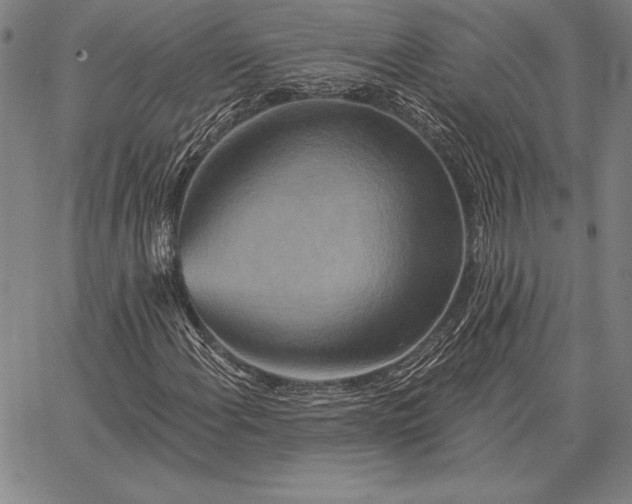 X0000067351108200604131743