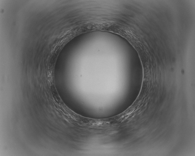 X0000067351109200604131743