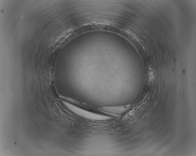 X0000067351110200604131744