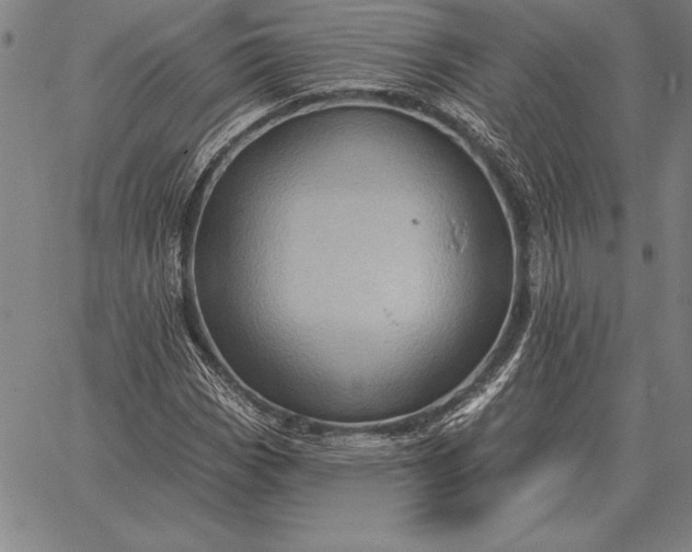 X0000067351113200604131744