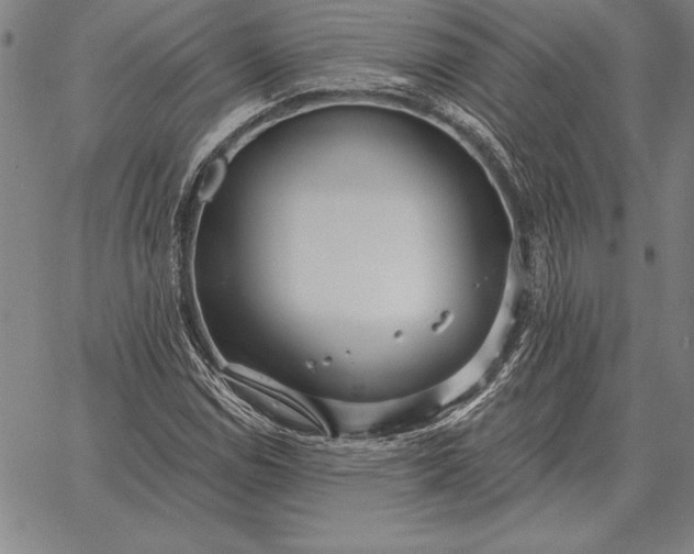 X0000067351114200604131744