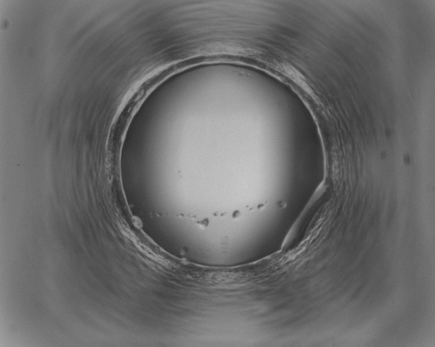 X0000067351116200604131744