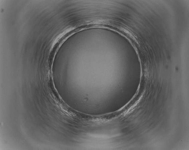 X0000067351117200604131744