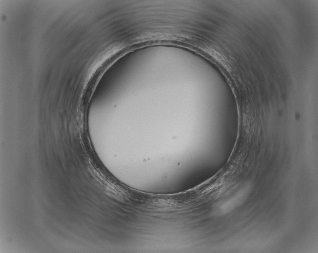 X0000067351119200604131744