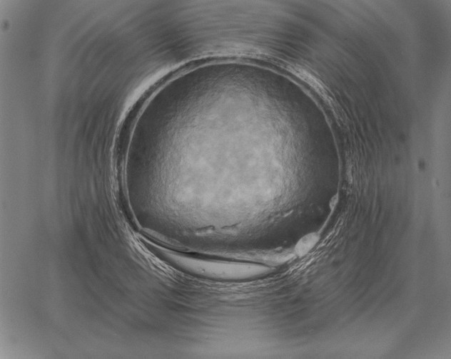 X0000067351120200604131744