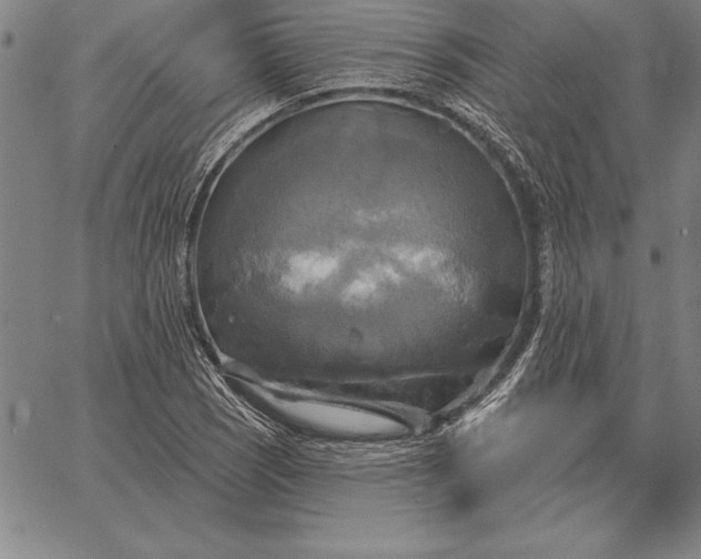 X0000067351121200604131744