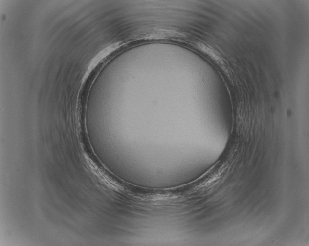 X0000067351122200604131744