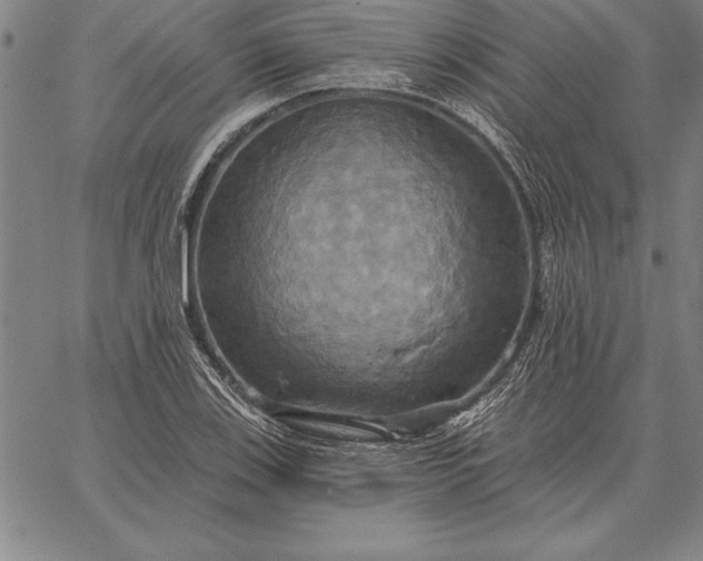 X0000067351123200604131744