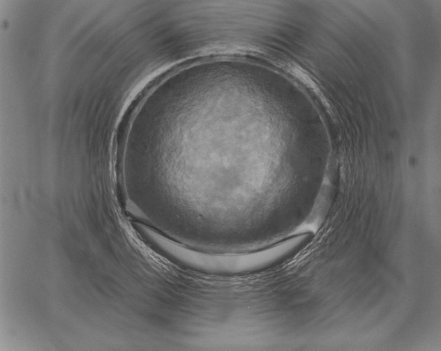 X0000067351124200604131744