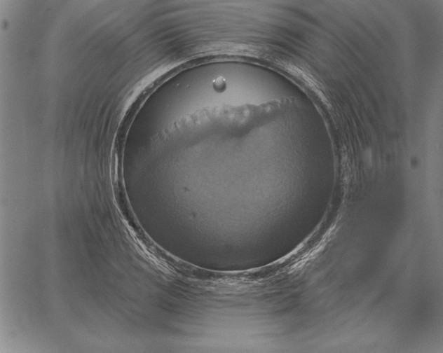 X0000067351125200604131744