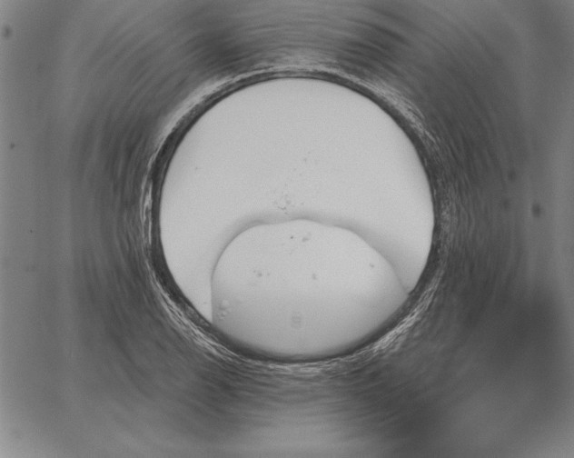 X0000067351126200604131744