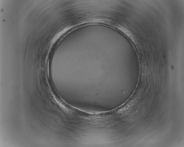 X0000067351127200604131744