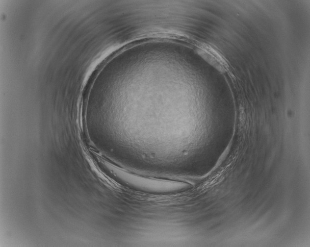 X0000067351128200604131744