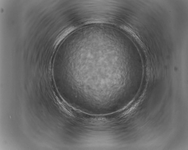 X0000067351129200604131744