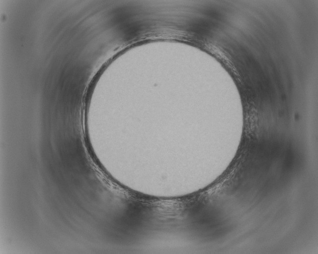 X0000067351130200604131744