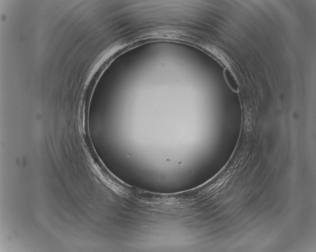 X0000067351131200604131744