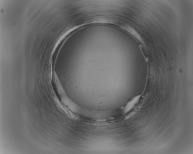 X0000067351132200604131744