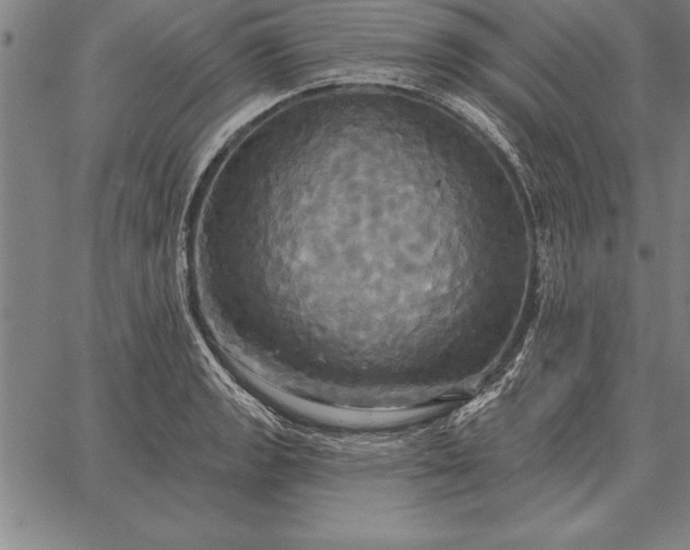 X0000067351133200604131744