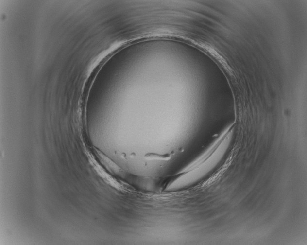 X0000067351134200604131744