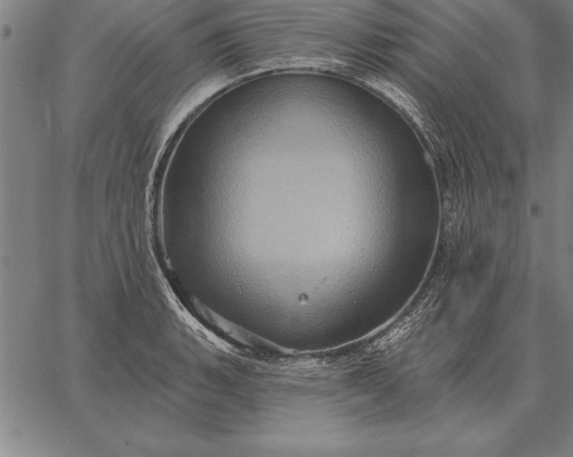 X0000067351135200604131744