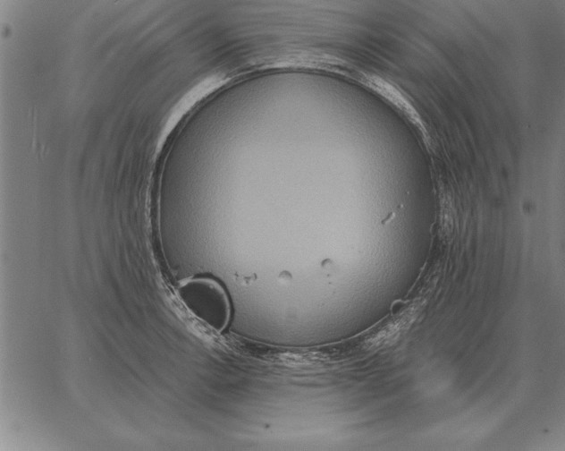 X0000067351138200604131744