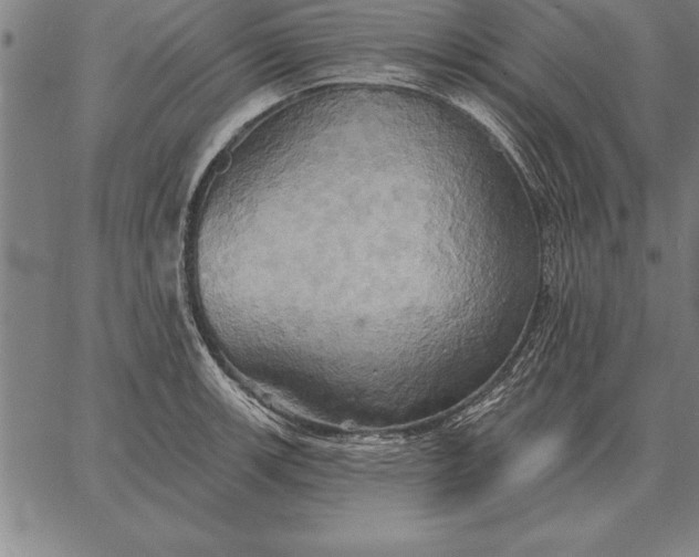 X0000067351139200604131744