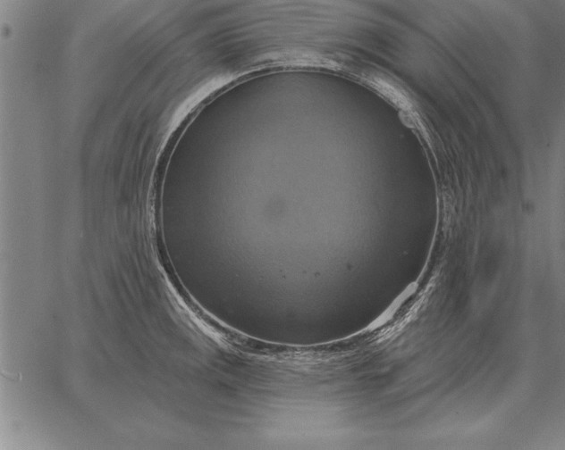 X0000067351141200604131744